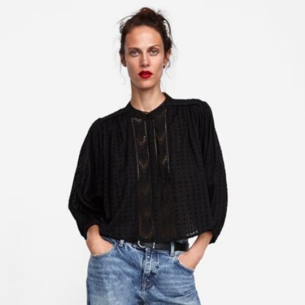 Zara plumetis top with embroidery (1 day sale!)